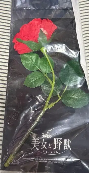 극단 사계 미녀와 야수 장미 볼펜