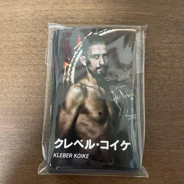 RIZIN 남자 축제 선수 카드