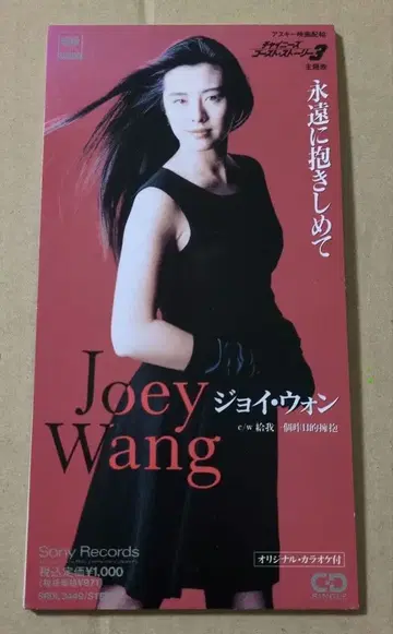 조이 원 영원히 안아줘 8cm CD