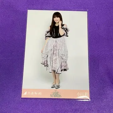 오가와 아야 same numbers 브로마이드 히키