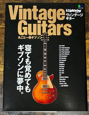 빈티지 기타스 마루고토 잇사츠 깁슨, 자나 깨나 깁슨에 열중.