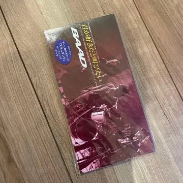 BAAD/너를 좋아한다고 외치고 싶어 8cm 미개봉