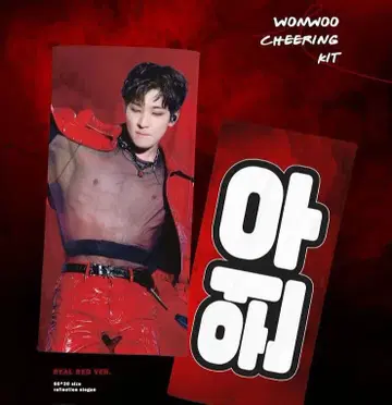 원우 슬로우건 cheering kit 마스터