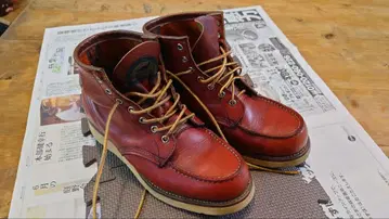 레드윙 반원 개 택 7하프