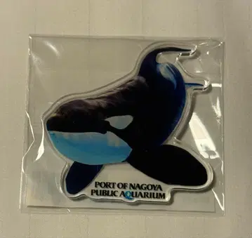 나고야항 수족관 범고래 아크릴 마그넷 어스 자석