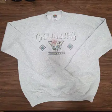 FRUIT OF THE LOOM 90s 맨투맨