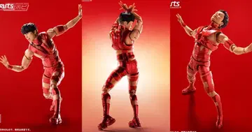 S.H.Figuarts T.M.Revolution REDHOT 한정판