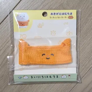 매일 햄스터 옷 갈아입히기