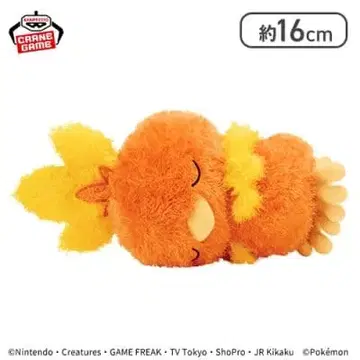 아차모 모후굿토 쿠츠로기 타임 봉제 인형 포켓몬 포켓몬스터