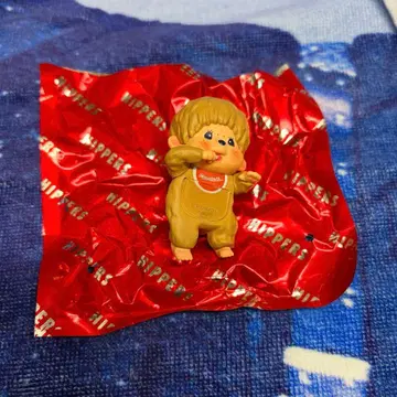 Hippers 히퍼스 몽치치 시크릿