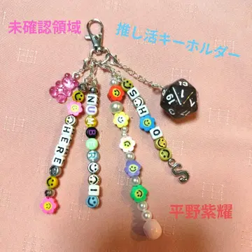 미확인 영역 히라노 쇼 덕질 키링 참(H)