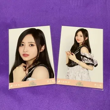 이노우에 와카비 동일 넘버 브로마이드 요리 츄