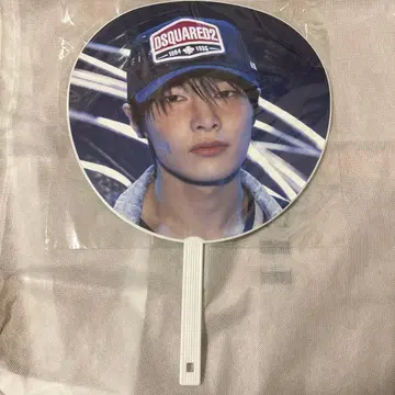 스트레이 키즈 아이엔 부채 dominATE