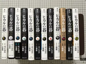 히카루의 바둑 문고판 전 12권 세트