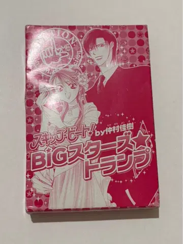 스킵 비트 부록 카드놀이