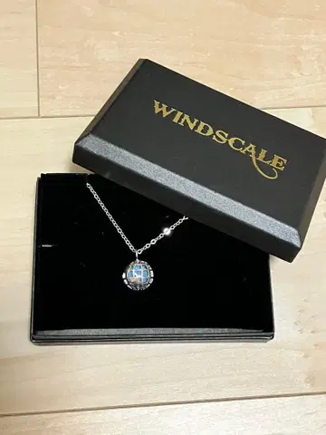 WINDSCALE 프리미엄 반다이 가면라이더 W 필립 목걸이 펜던트