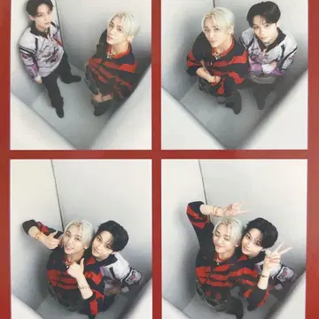 원엔 TV LIFE 아마조니아 카드 REI HAYATO