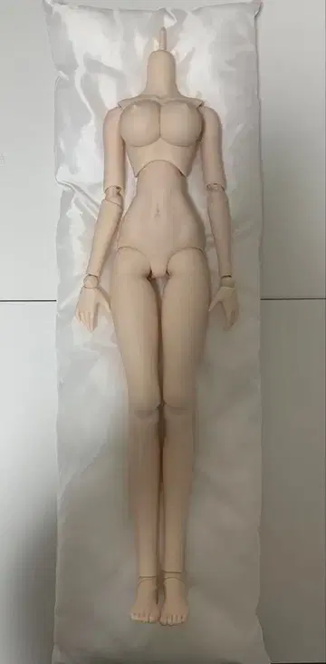 보크스 DDdy 베이스 바디 f3 세미 화이트