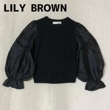 Lily Brown 볼륨 슬리브 풀오버 블랙