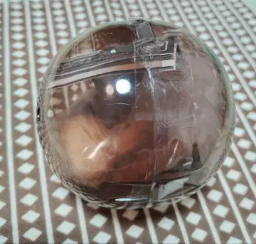 생물대도감 장수풍뎅이 10