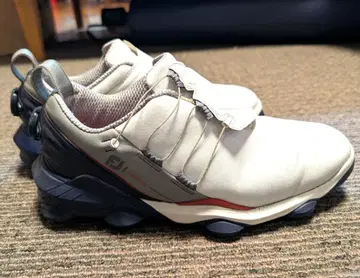 풋조이 남성용 투어알파 BOA 골프화 27.0 3E