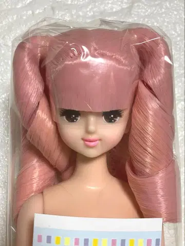 리카짱 캐슬 오타노시미 인형 유리시아 오타노시미 인형 프렌드