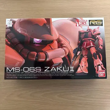RG MS-06S ZAKU II