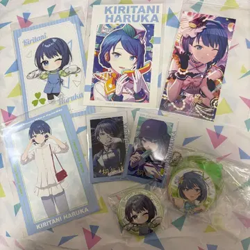 프로세카 키리타니 하루카 묶음 세트