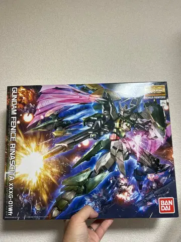 MG 1/100 건담 페니체 리나시타