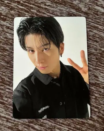 란페 하세가와 마코토