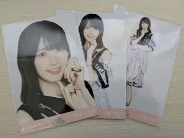 오오코시 히나노 브로마이드