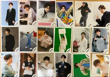 와타나베 쇼타 공식 사진 굿즈 18장 세트