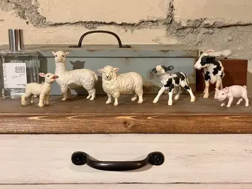 지구! 동물 피규어 도감 초식동물 동물 피규어 6체 세트