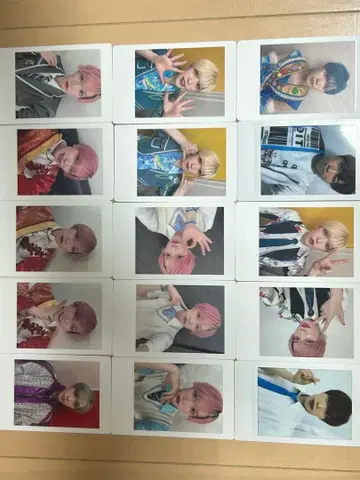 팬더드래곤 파라곤 하피카 타이거