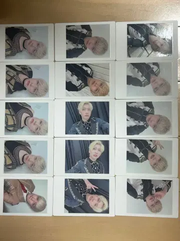 팬더 드래곤 파라곤 하피카 요우타