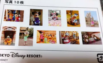 도쿄 디즈니랜드 브로마이드 세트