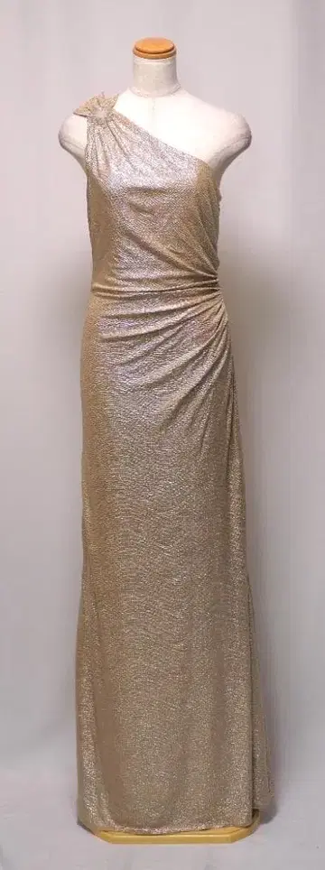 DAVID MEISTER 롱 포멀 드레스 [6] / 9호 정도