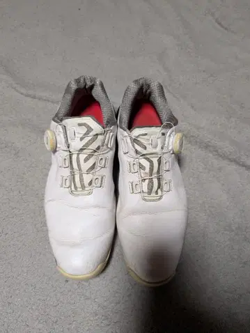 BRIDGESTONE 브릿지스톤 골프화 제로 스파이크 바이터