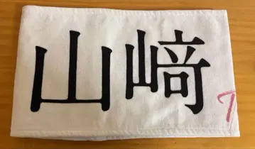 사쿠라자카46 야마자키 텐 5thTOUR 2025 최애 머플러 타월