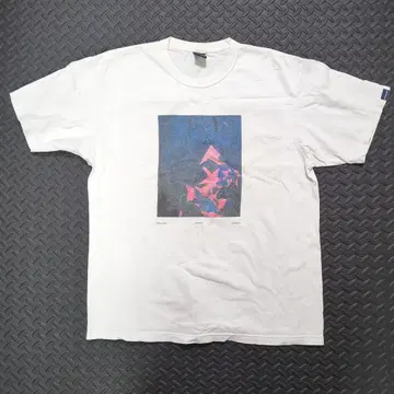 APPLEBUM 그래픽 프린트 T셔츠 XL