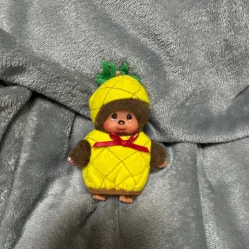 몽치치 파인애플