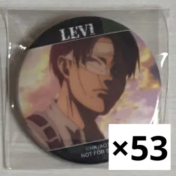 진격의 거인 리바이 캔뱃지 53개