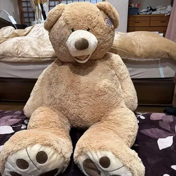 코스트코 곰 봉제 인형 53인치