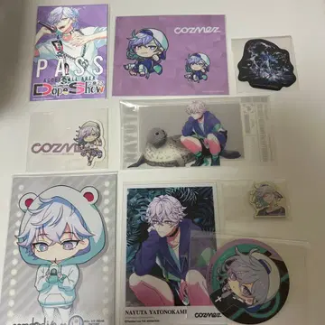 파라라이 cozmez 카나타 나유타