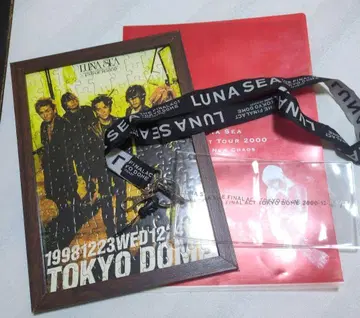 [ 레어 ] LUNA SEA 티켓 홀더 클리어 파일 퍼즐 과거 굿즈