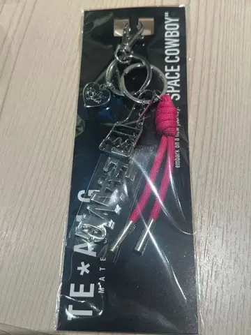 이와타 타카노리 SPACE COWBOY TEAM G 백 참