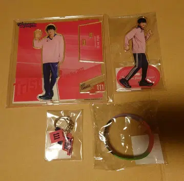 트라이스톤 대운동회 다나카 케이 아크릴 스탠드 아크릴 키링