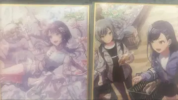 프로세카 시로이시 안 색지 33a