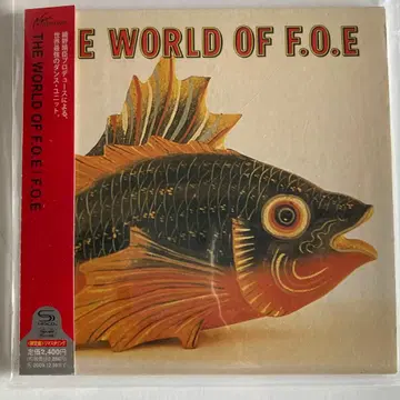 새상품급! 종이 자켓 호소노 하루오미 F.O.E