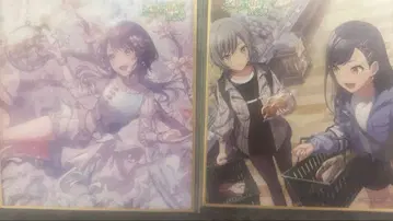 프로세카 시라이시 안 색지 33a